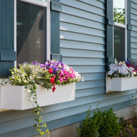 Edison Flower Boxes